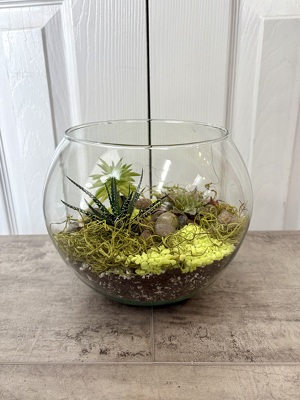 Terrarium from Aladdin's Floral in Idaho Falls